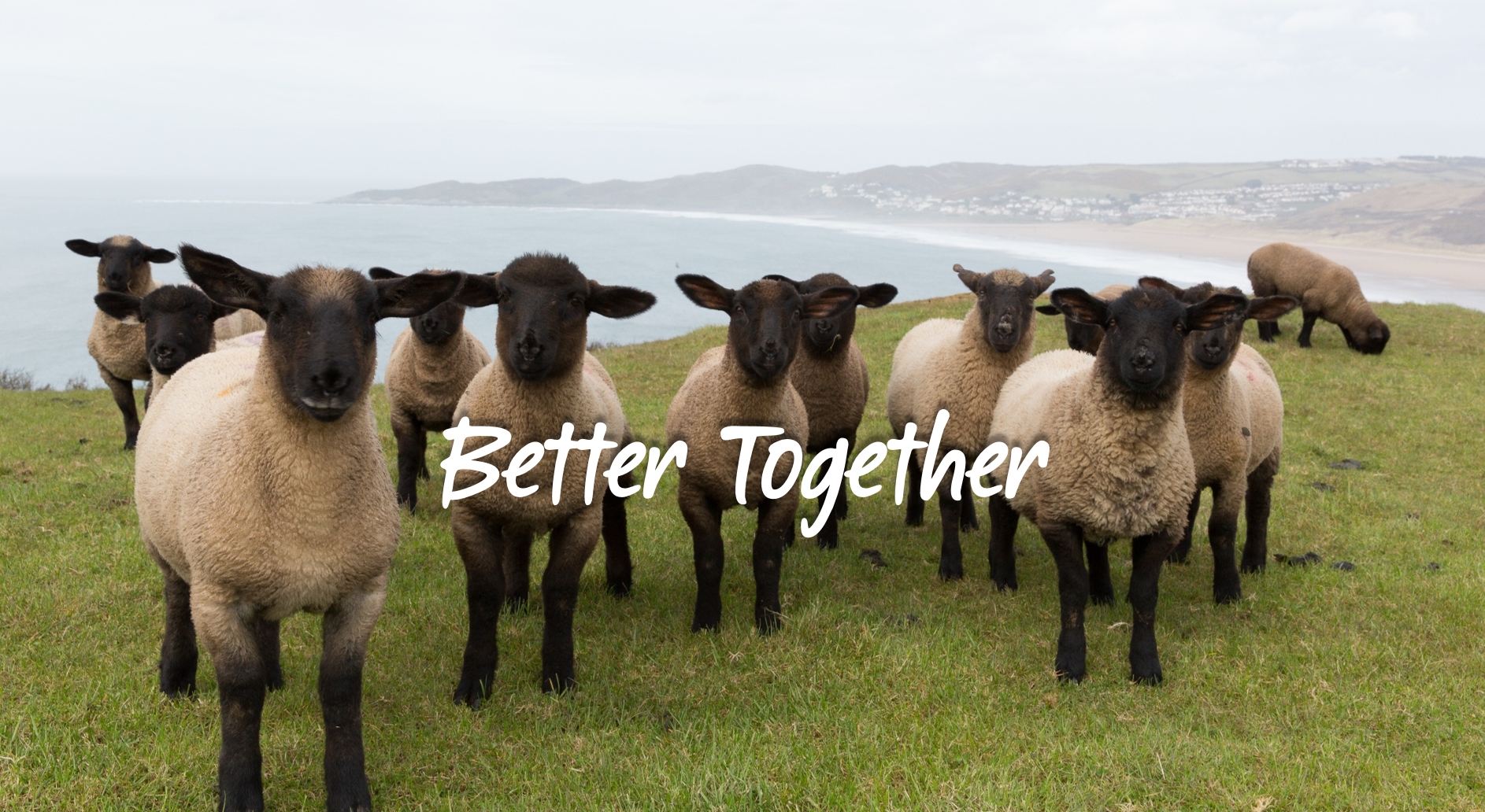 Better Together