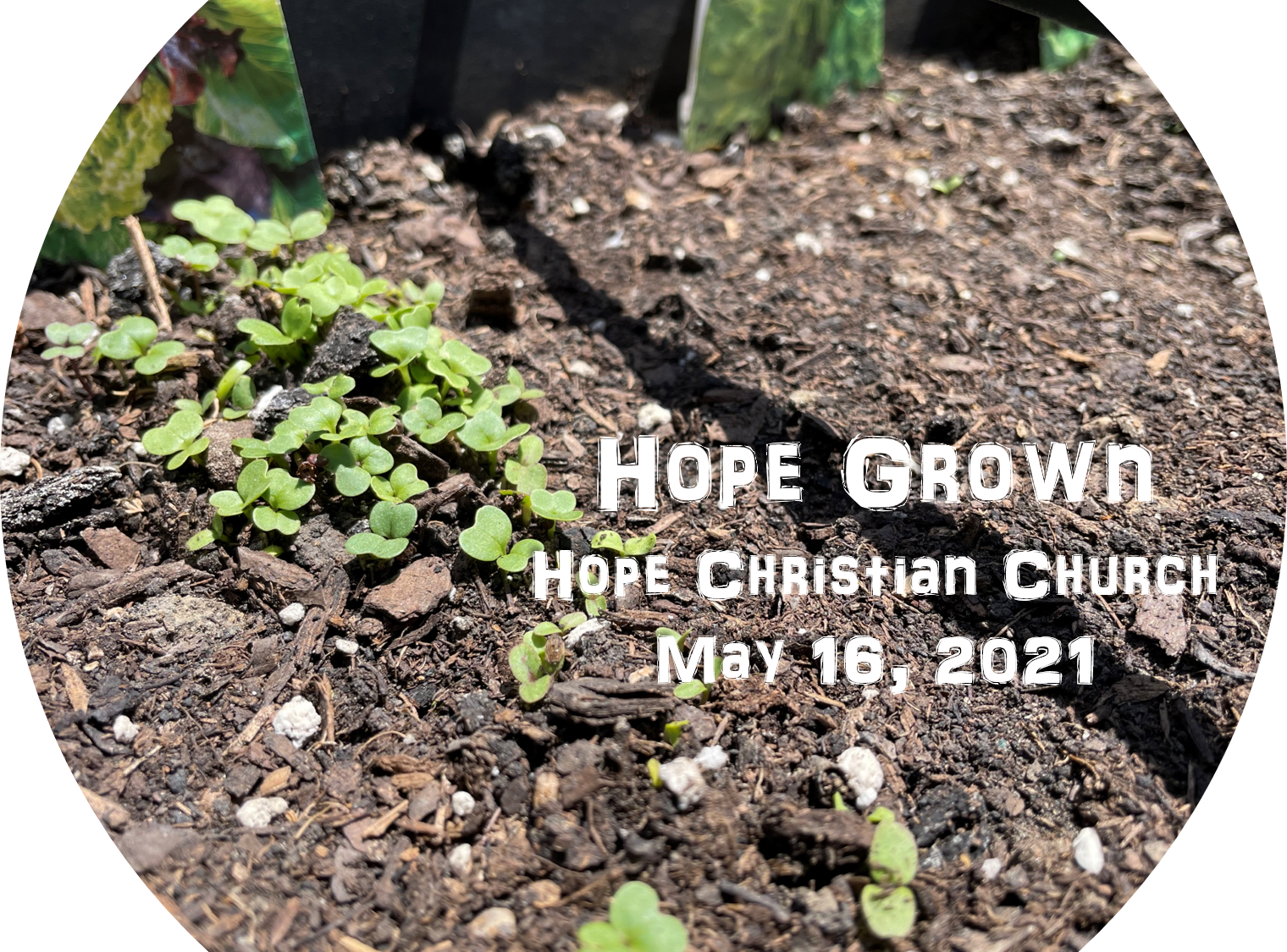 Hope Grown