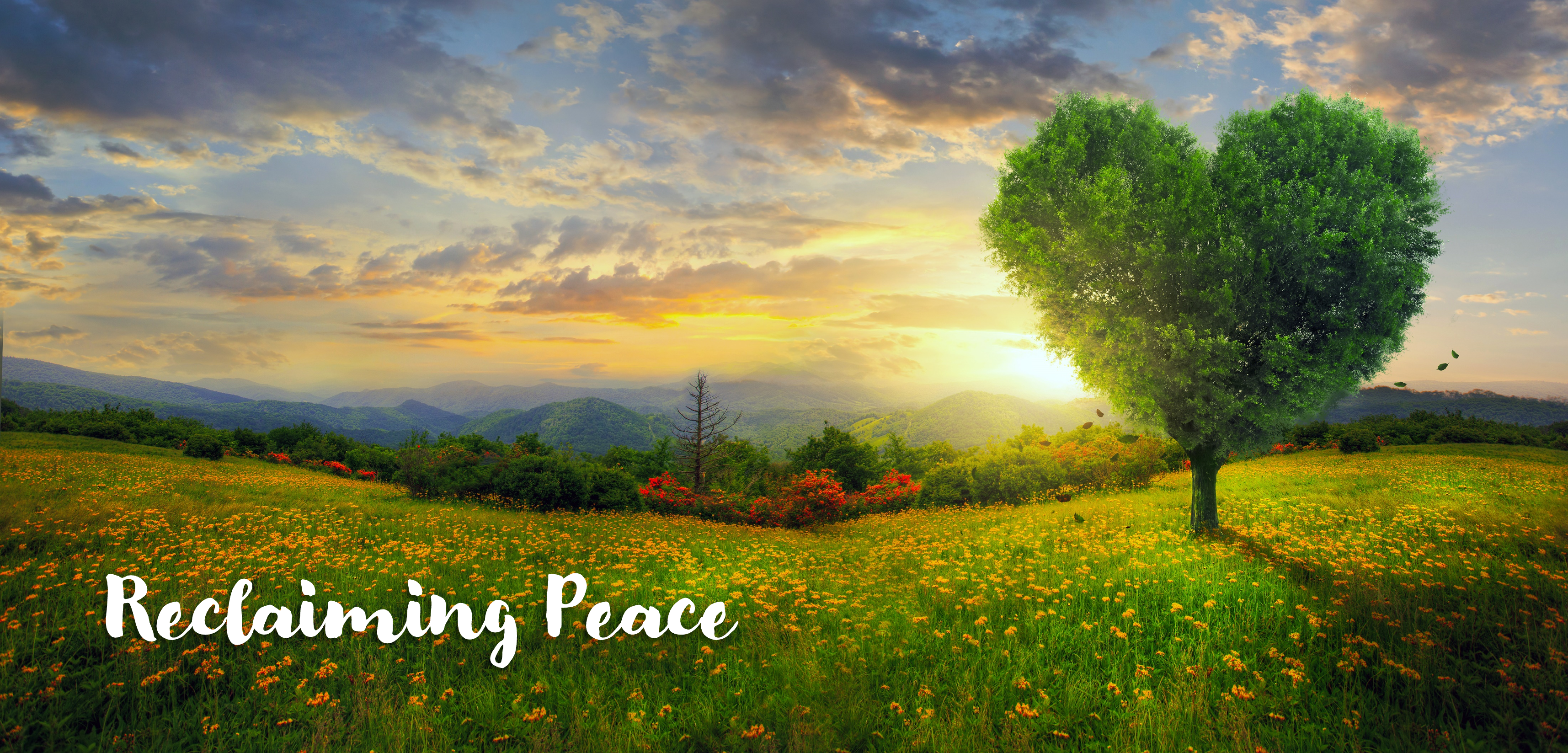 Reclaim Peace