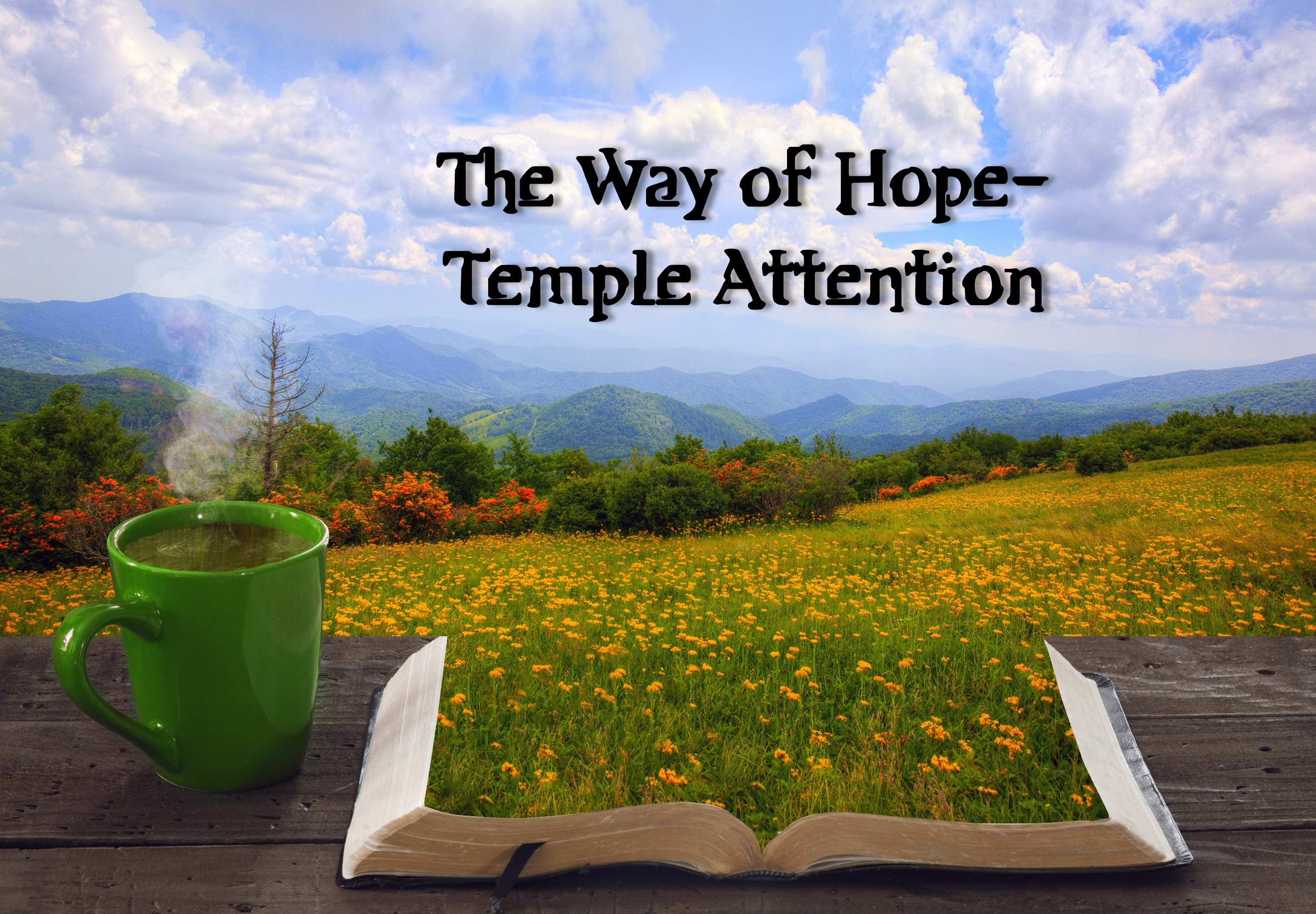 The Way of Hope - Temple Attention