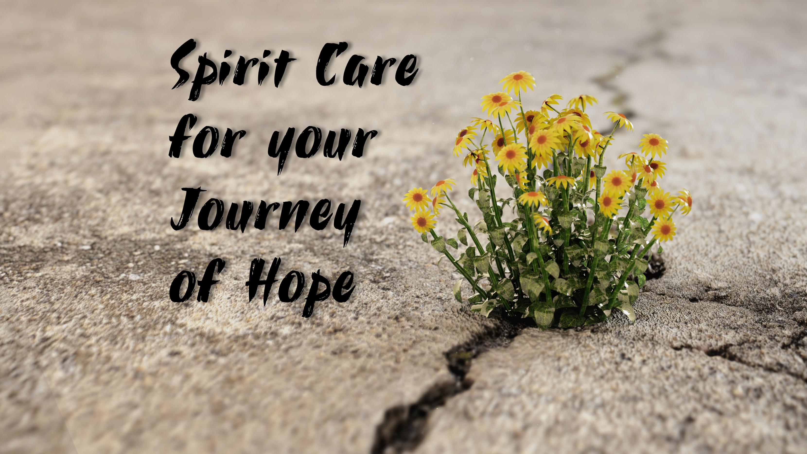 Spirit Care on the Way of Hope