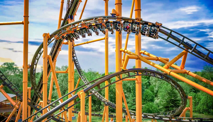Living on a Roller Coaster